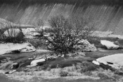 06 halistenkoski