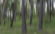 06 muistojen-maisema