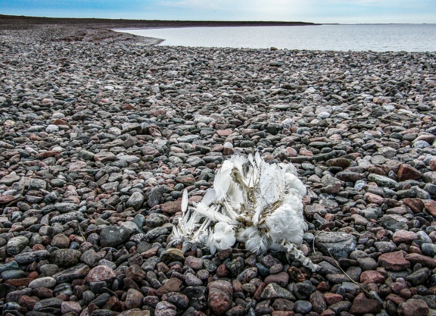 01 Ulkosaaristossa.jpg