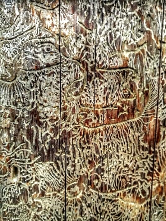 03 toukkien_tyota.jpg