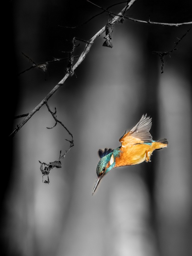 05 Saalista-kohti.jpg