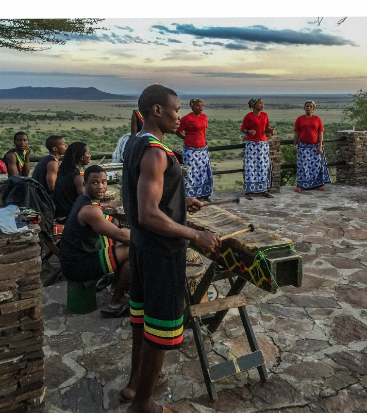 06 Musiikkia-savannin-aamussa.jpg