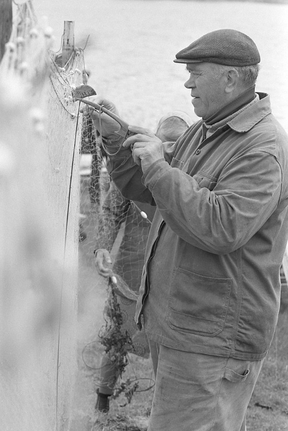 03 Verkonpaikkaja.jpg