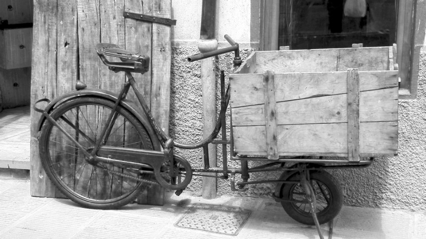 01 Wolt-kuskin-vm-1924.jpg