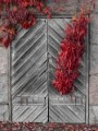 01 Masked_Door