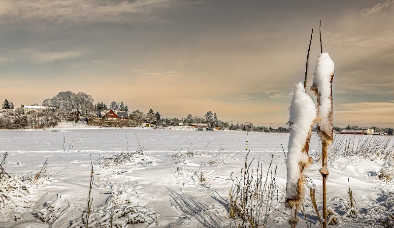 07 Rauvolan-maisemaa.jpg