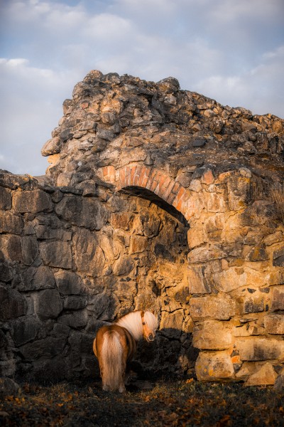 08 Miksi-lahtea-Shetlantiin-kun-on-Kuusisto.jpg