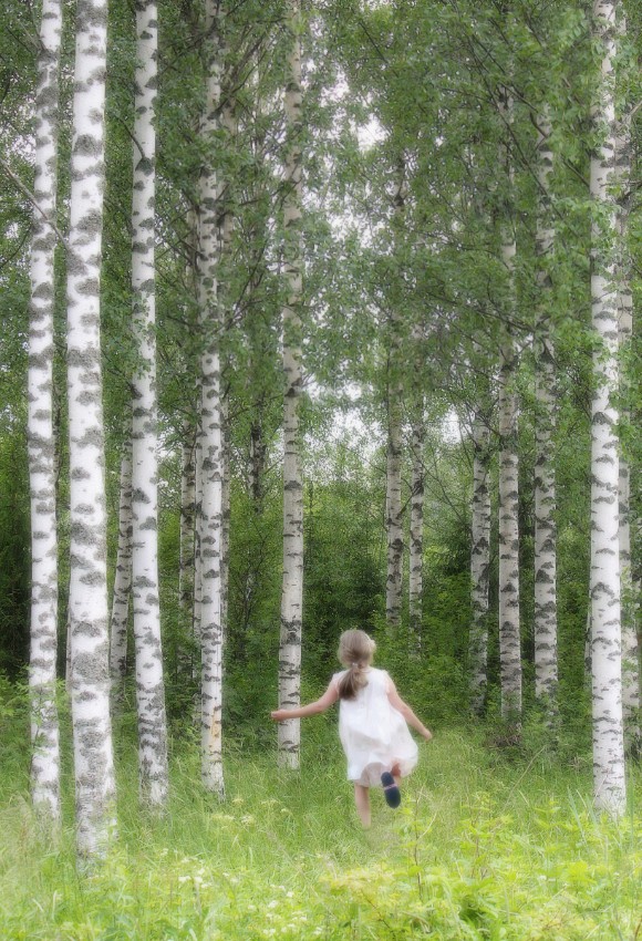 tuula purmonen_Fairy in the Birch forest.jpg