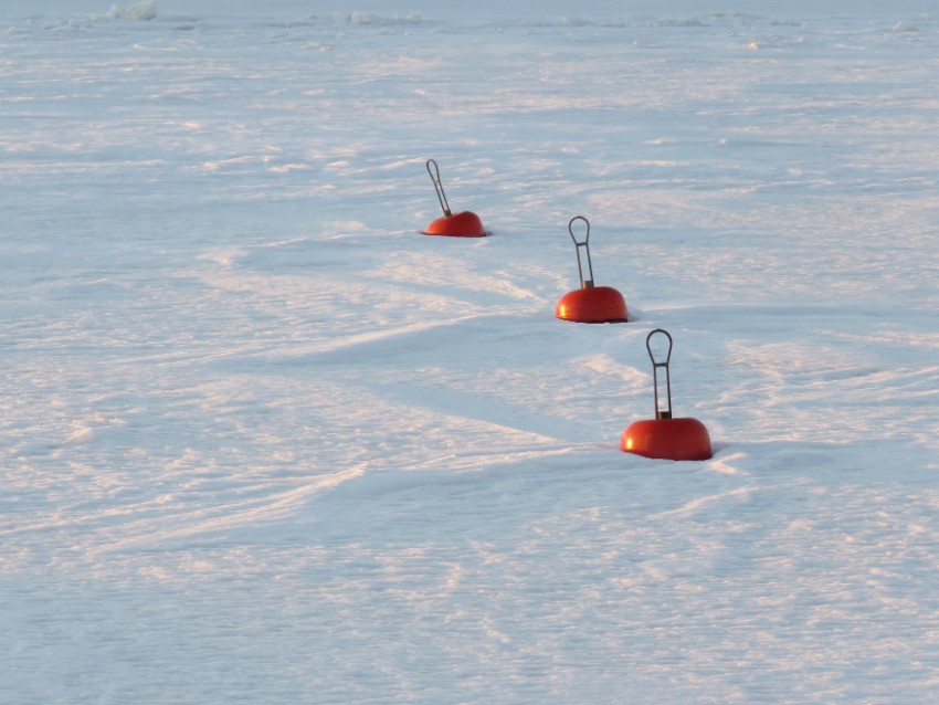 Mirjo Kanervavuori_Winter buoys.JPG