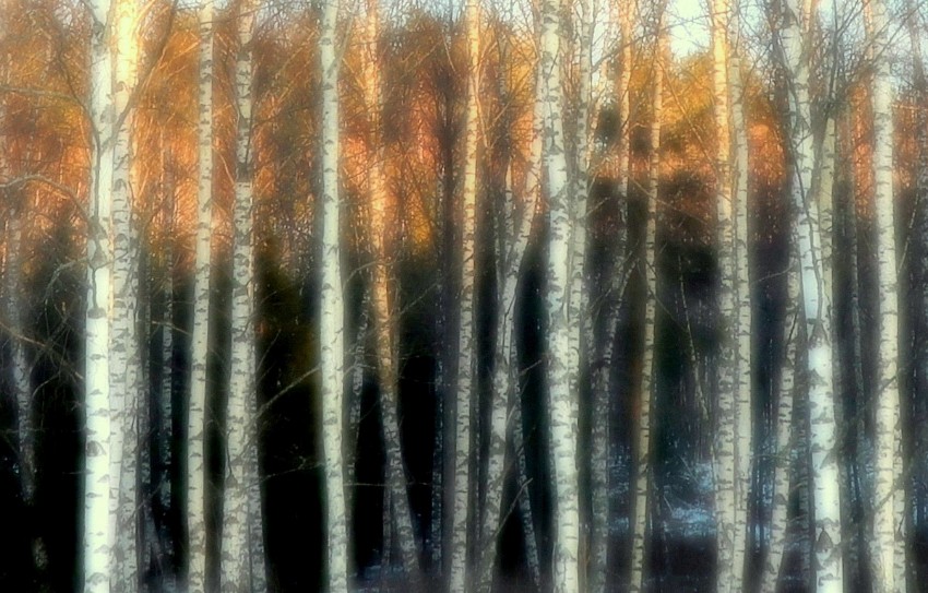 Tuula-Purmonen_Magical-sunset.jpg