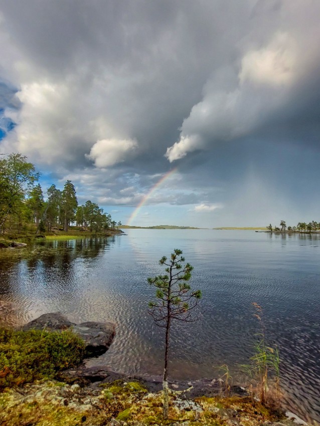 Akku_Looking_to_Lake.jpg