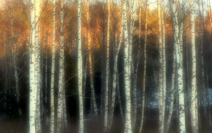Into_ilta-auringon-taikaa-jpg.jpg