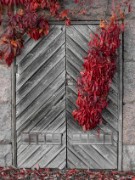 Akku_Fancy_Old_Door