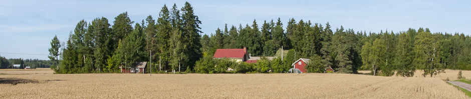 Kaarinan Kuvaajat